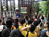 最新相簿圖片縮圖：