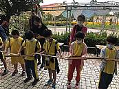 最新相簿圖片縮圖：