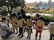 最新相簿圖片縮圖：