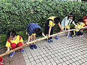 最新相簿圖片縮圖：