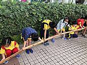 最新相簿圖片縮圖：