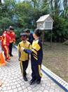 縮圖：