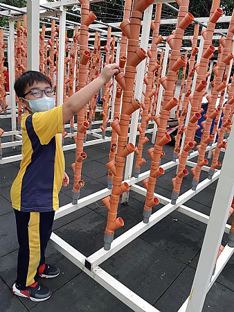 放大圖：