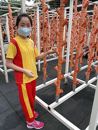 放大圖：