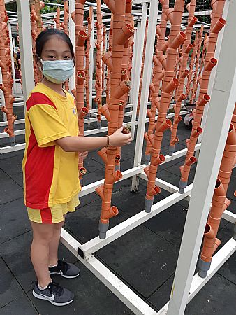 放大圖：