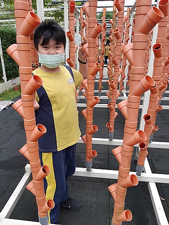 放大圖：