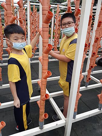 放大圖：