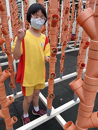 放大圖：