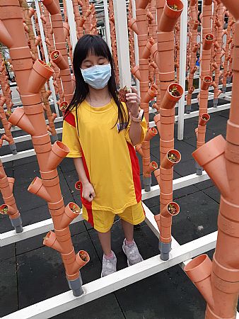 放大圖：