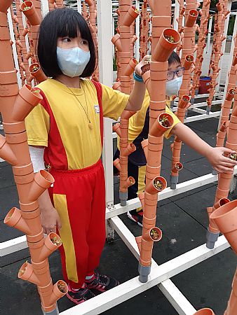 放大圖：