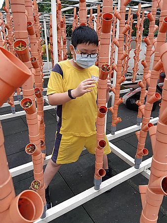 放大圖：