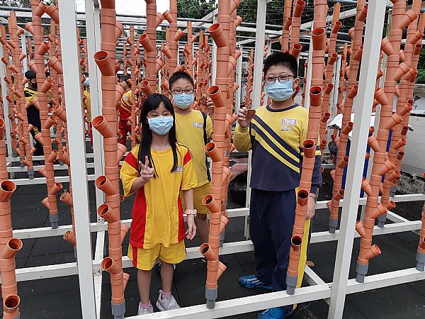 放大圖：