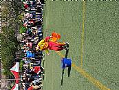 最新相簿圖片縮圖：