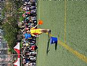 最新相簿圖片縮圖：