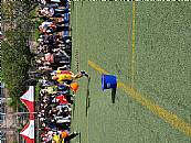 最新相簿圖片縮圖：