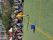 最新相簿圖片縮圖：