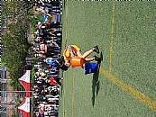 最新相簿圖片縮圖：