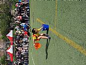 最新相簿圖片縮圖：