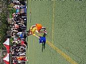 最新相簿圖片縮圖：