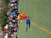 最新相簿圖片縮圖：