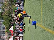 最新相簿圖片縮圖：