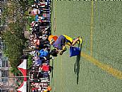 最新相簿圖片縮圖：