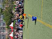 最新相簿圖片縮圖：