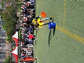 最新相簿圖片縮圖：